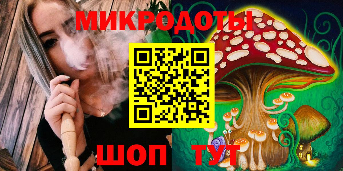 Балтийск  Галлюциногенные грибы прущие грибы  Вход с VPN 